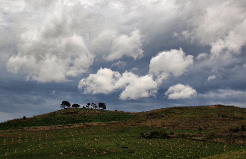 clouds at the tree prison.jpg